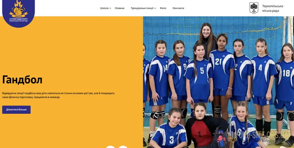 Школа ігрових видів спорту в